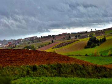 Terrenos y solares